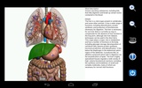 Visual Anatomy Free screenshot 10