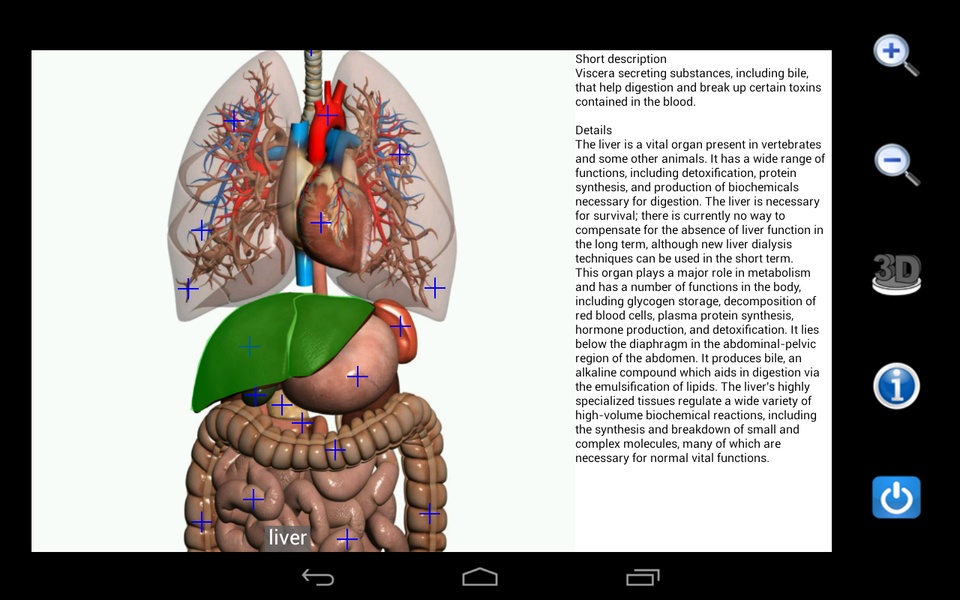 Visual Anatomy Free - Preview 9