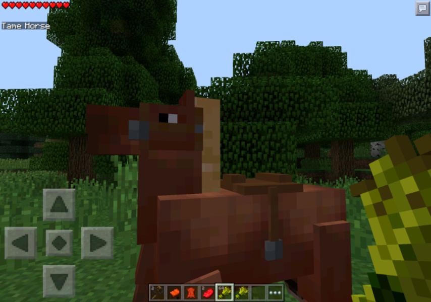 Horses Mod - Preview 3