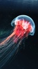 Jellyfish Theme: Neon Jelly Zone wallpaper HD screenshot 2