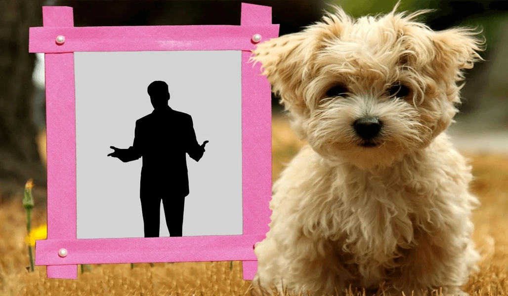 Cute Pink Photo Frames - Preview 1