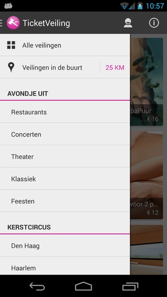 TicketVeiling - Preview 2