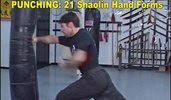 Shaolin Kung Fu screenshot 10