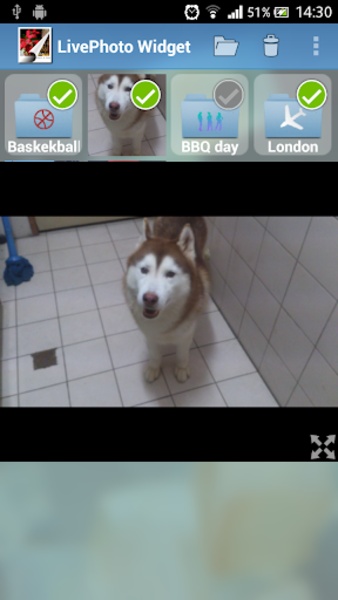 LivePhoto Widget - Preview 5