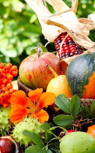 Thanksgiving Live Wallpaper - Preview 9