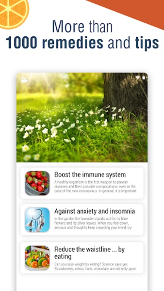 Natural Remedies - Preview 22