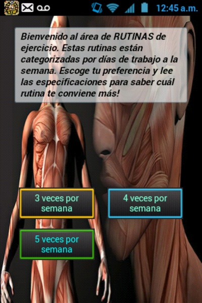 Gym Guia Completa - Preview 3