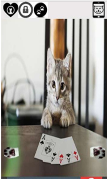 cute funny cat - Preview 8