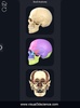 Skull Anatomy Pro. screenshot 7