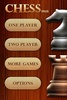 Chess Free screenshot 8