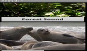 Animal Sounds App screenshot 3