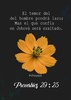 Proverbios Bíblicos y Libro screenshot 4