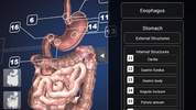 Endoscopy 3D (Free) screenshot 12
