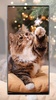 Cute Cat Wallpaper screenshot 2