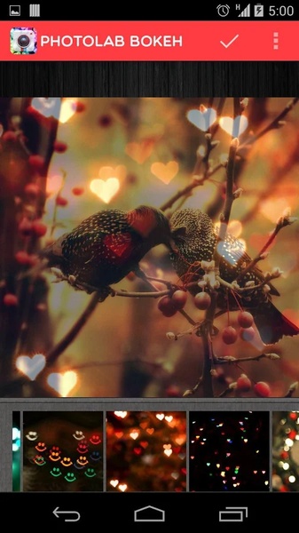 PhotoLab Bokeh - Preview 3