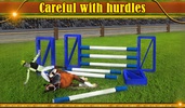 Horse Show Jump 3D screenshot 2