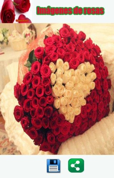 Imagenes de rosas - Preview 1