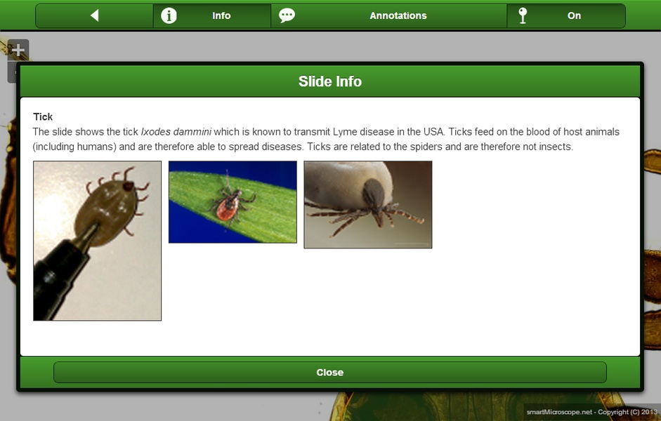 smart Microscope Lite - Preview 3