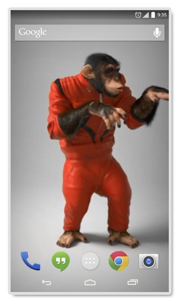 Cool Monkey Live Wallpaper - Preview 1