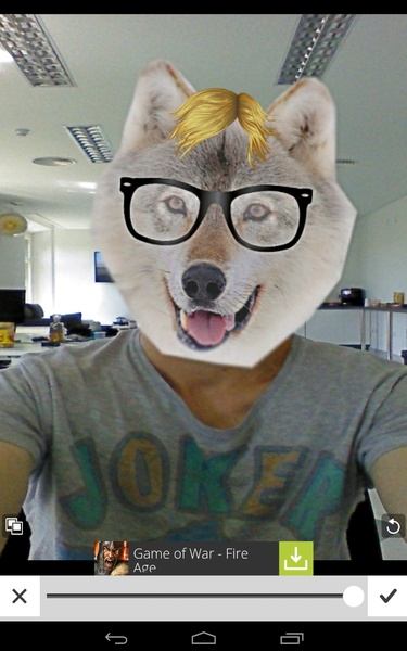 Animal Faces - Preview 2