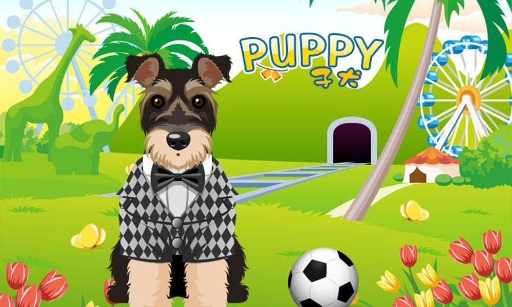 Pet Store - Preview 1