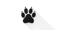 Amarok (FOSS) feature