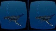 SeaWorld VR2 screenshot 4