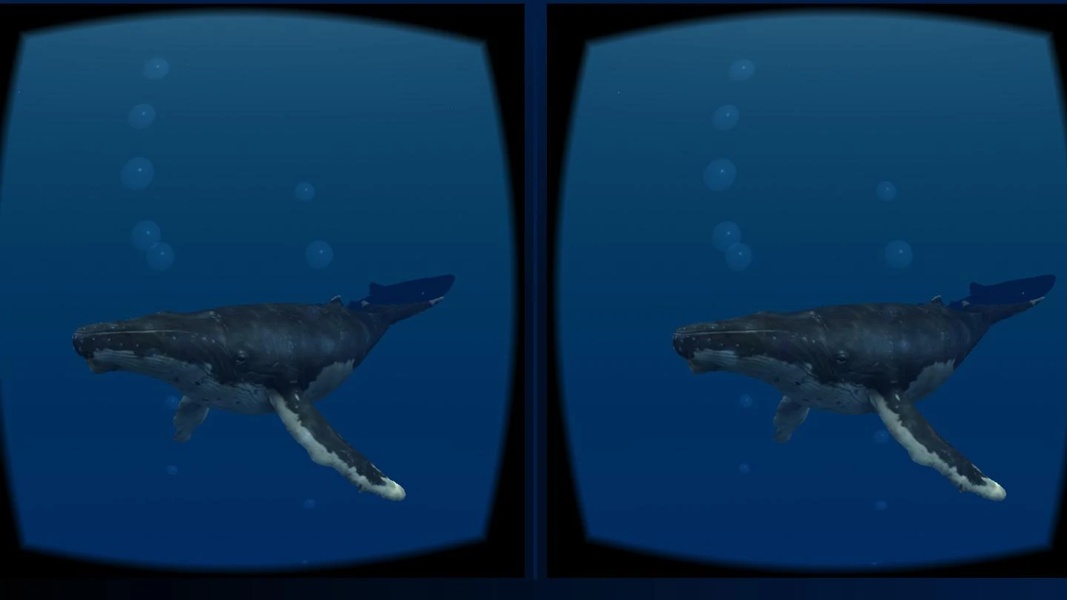 SeaWorld VR2 - Preview 4