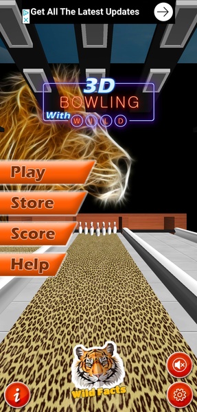 3D Bowling With Wild - Preview 11