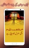 Photext : Urdu Post Maker screenshot 8
