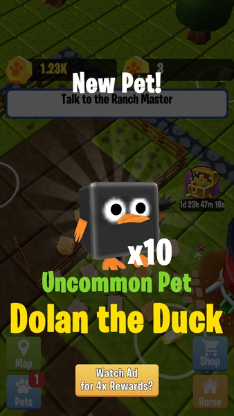 Pet Quest - Preview 4