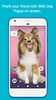 Dog in Phone screenshot 3
