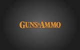 Guns and Ammo screenshot 1