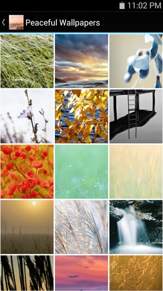 Peaceful Wallpapers - Preview 1