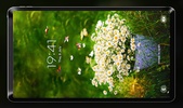 Butterflies Live Wallpaper screenshot 2