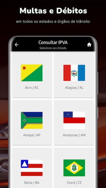 Consulta Placa - Preview 7