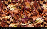Autumn leaves 3D LWP screenshot 4