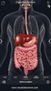Digestive System Anatomy screenshot 14