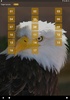 Eagle Sounds screenshot 2