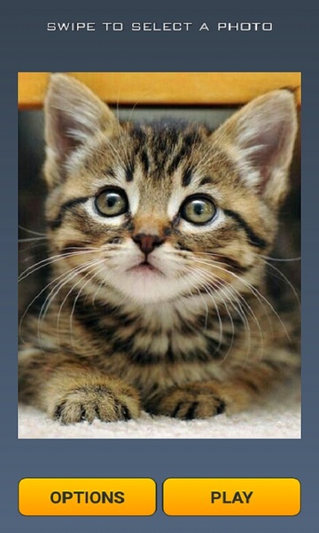 Cute Cats Puzzle - Preview 4