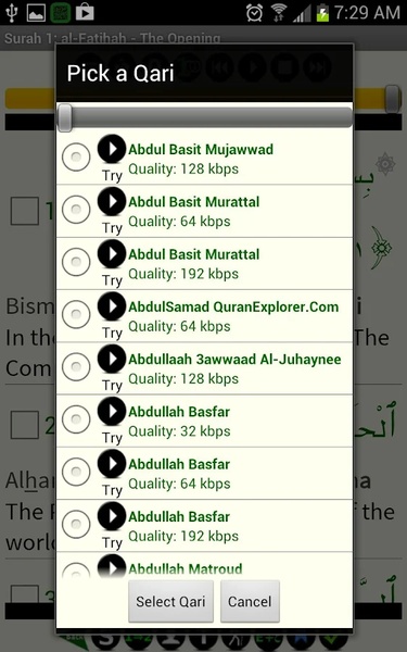 Quran Tafsir Pro - Preview 10
