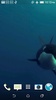Orca 3D Video Wallpaper screenshot 3
