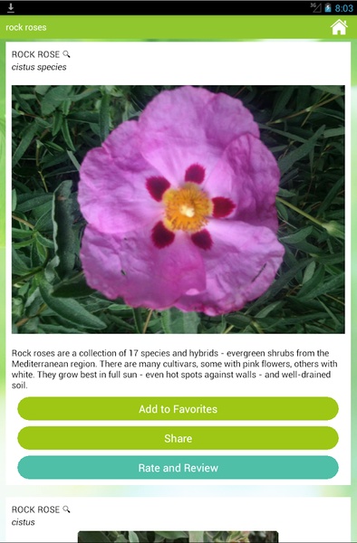 GardenAnswers - Preview 5