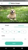 Reduce Images screenshot 3