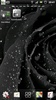 Black Rose live wallpapers screenshot 7
