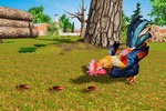 Rooster Simulator - Chick Life screenshot 2