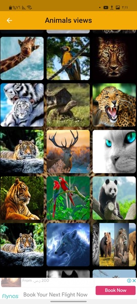 Natural Wallpapers - Preview 2