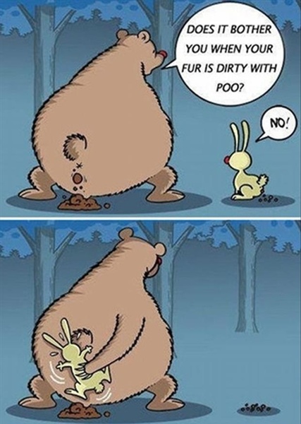 Picture Jokes - Preview 4