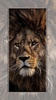 lion wallpaper screenshot 3