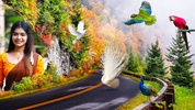 Birds Photo Editor- Pic Frames screenshot 3